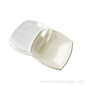 Biodegradable 12oz bagasse square bowls